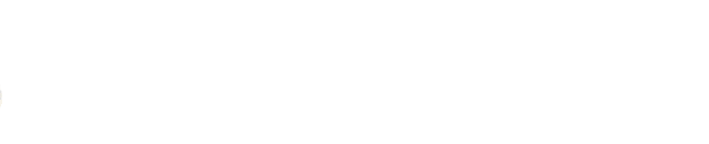 公园体育场