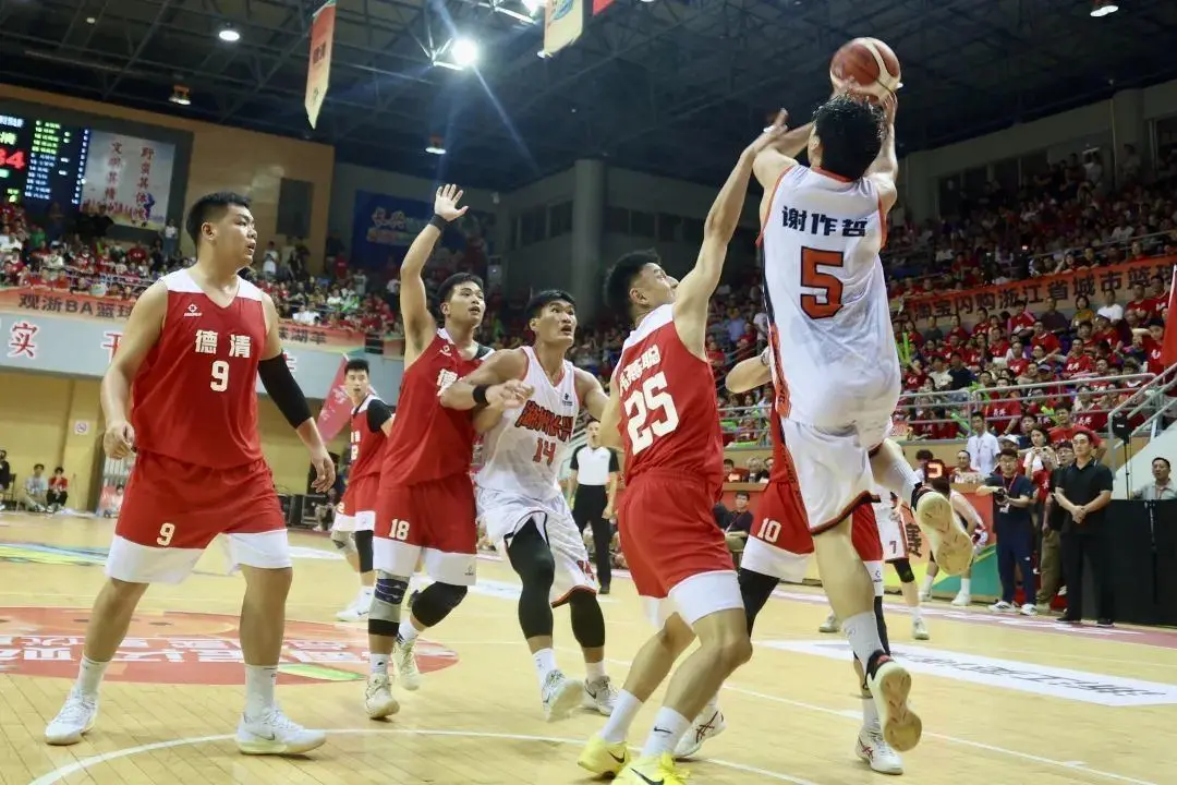 alt, 多可注册, 浙BA独树