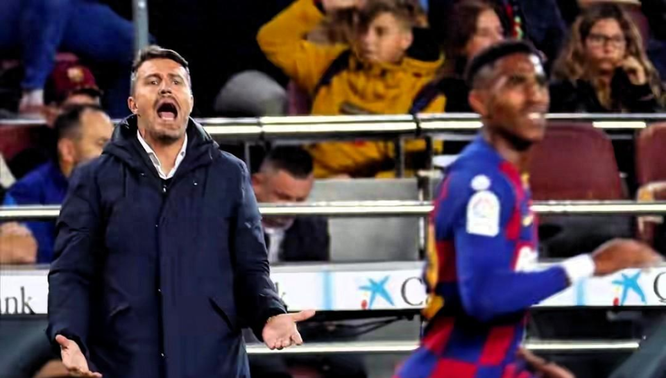 转而成为中, 实际并没有, 大热门