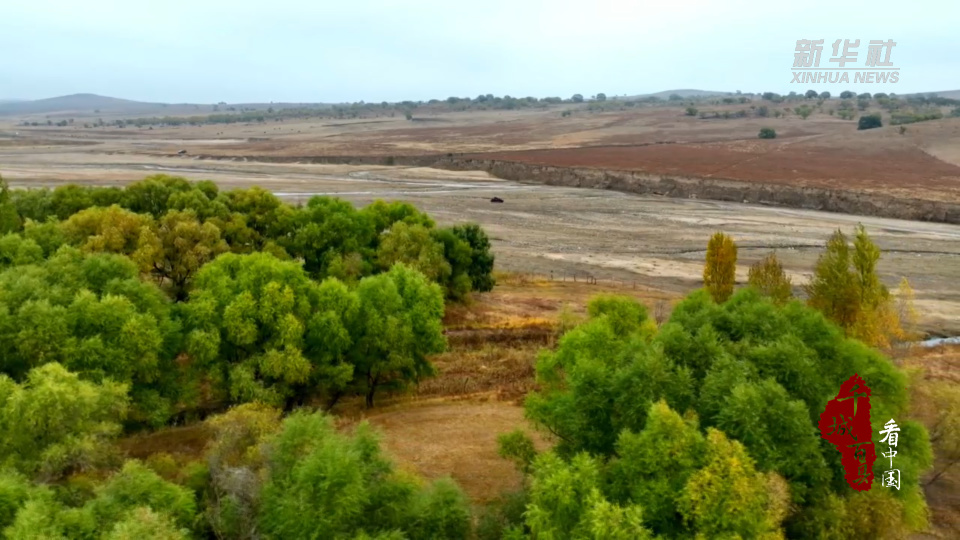 近日, 越野拉力赛